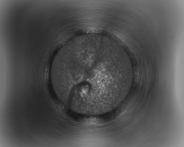 X0000088690695200706141412