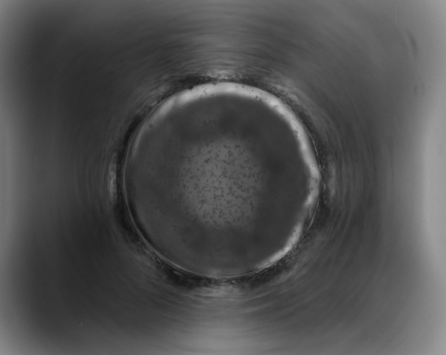X0000088690696200706141412