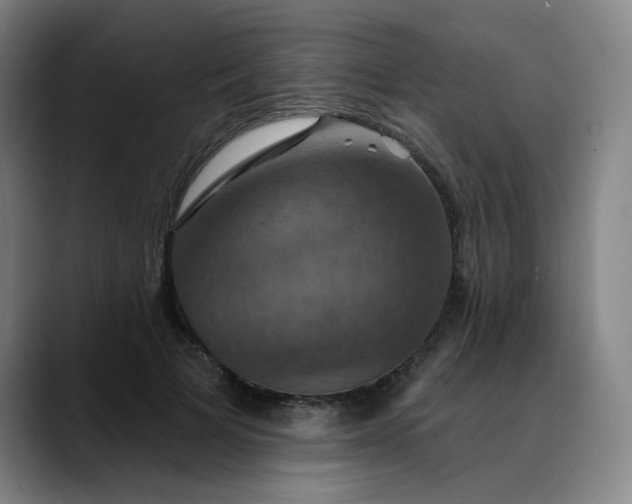 X0000088690697200706141412
