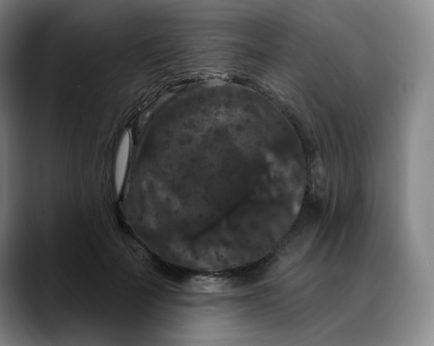 X0000088690699200706141412