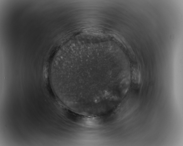 X0000088690701200706141412