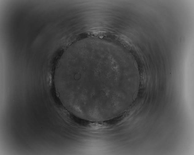 X0000088690703200706141412