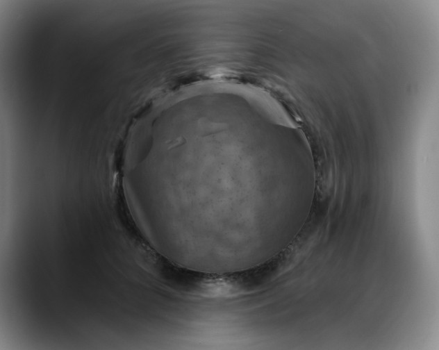 X0000088690704200706141412