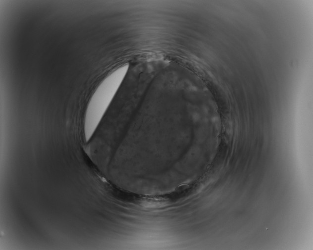 X0000088690707200706141412
