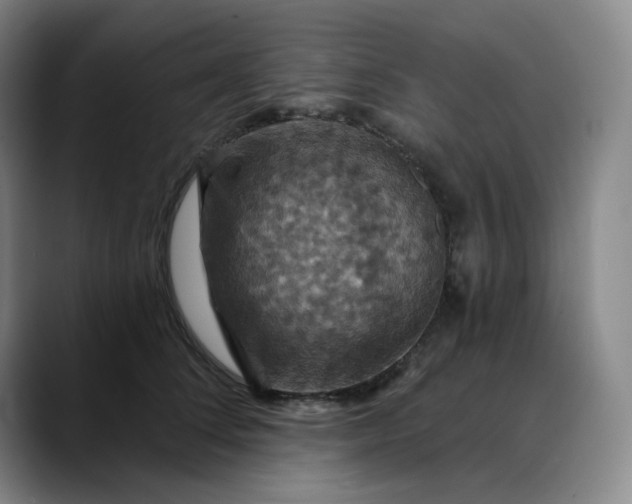 X0000088690708200706141412