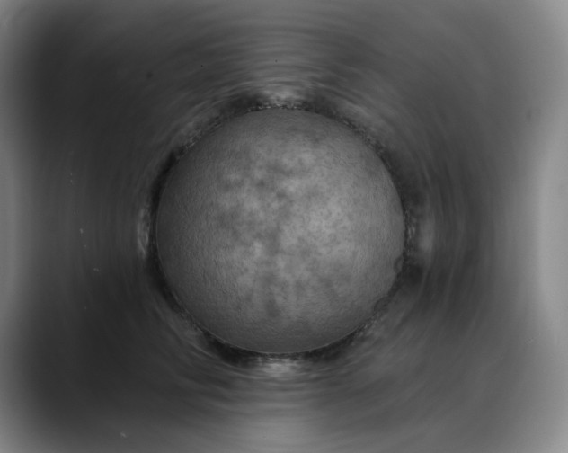 X0000088690710200706141412