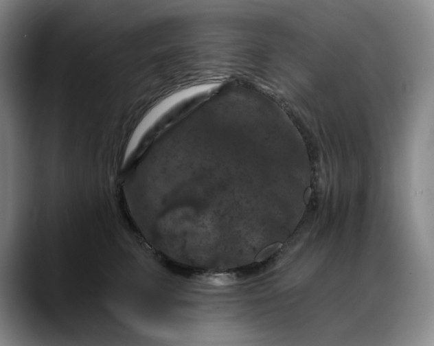 X0000088690711200706141412