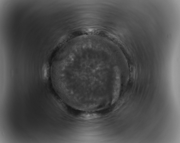 X0000088690712200706141412