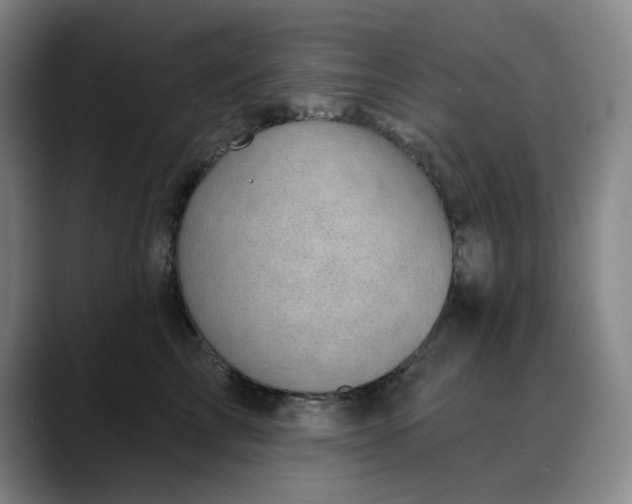 X0000088690713200706141412