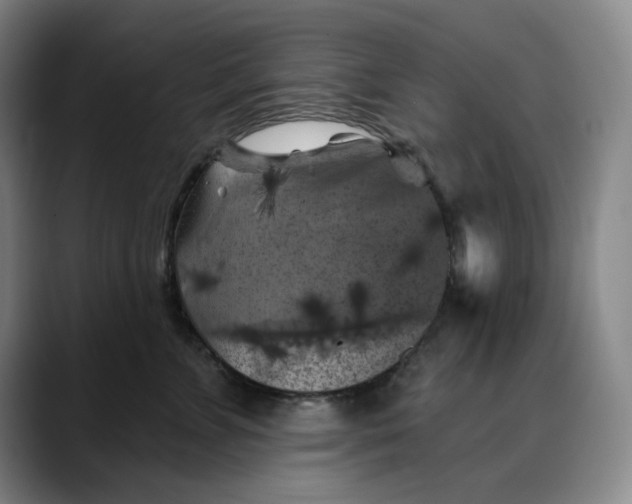 X0000088690715200706141412