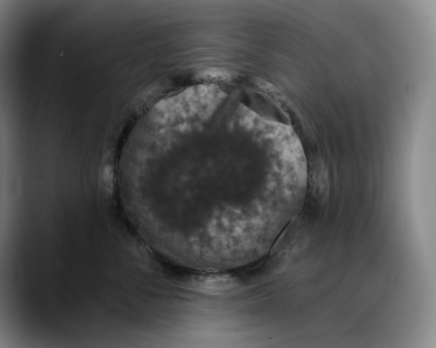X0000088690716200706141412