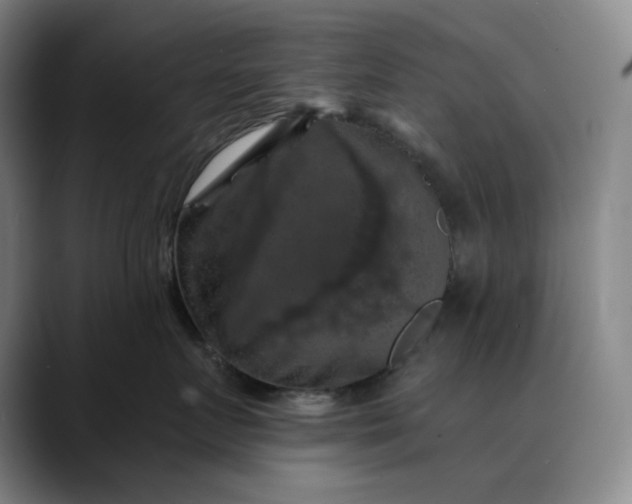 X0000088690719200706141412