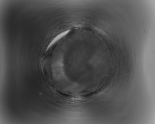 X0000088690720200706141412