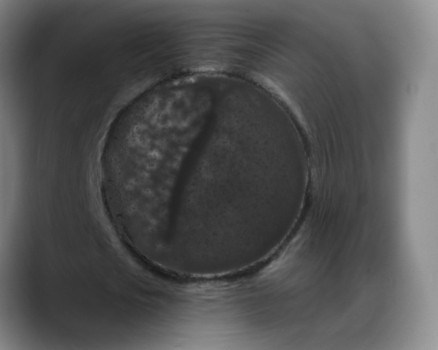 X0000088690721200706141412