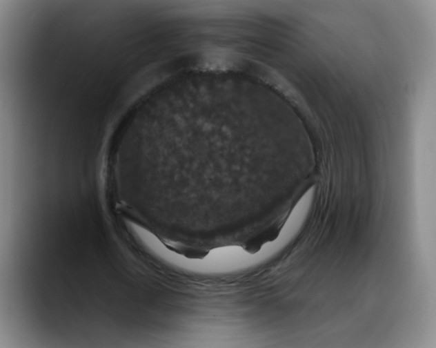 X0000088690722200706141412