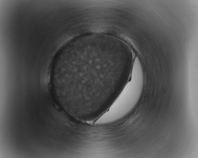 X0000088690723200706141412