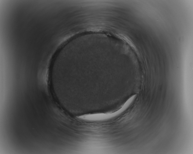 X0000088690724200706141412
