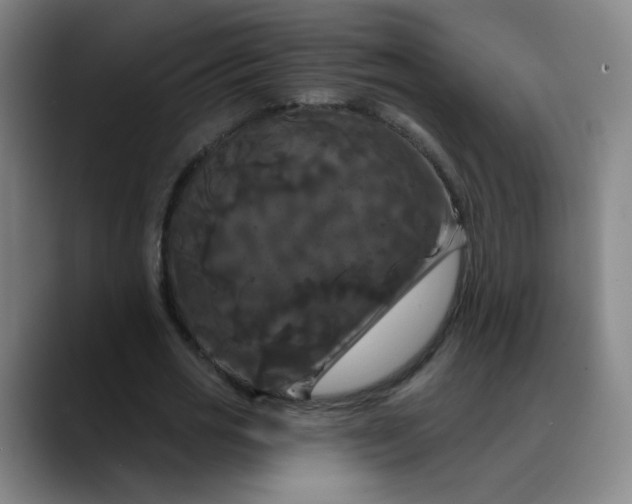 X0000088690725200706141412