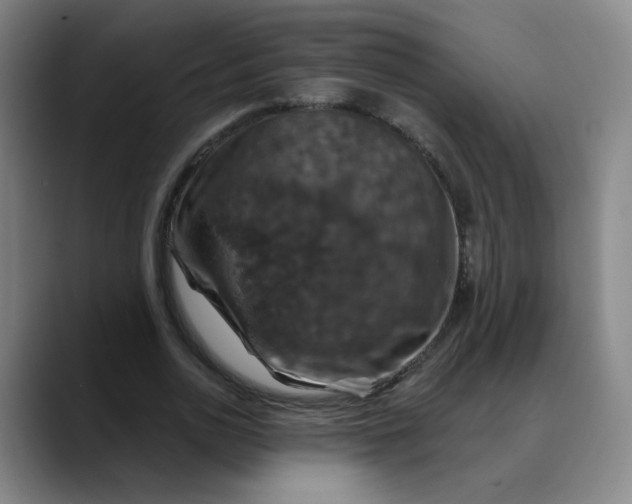 X0000088690726200706141412