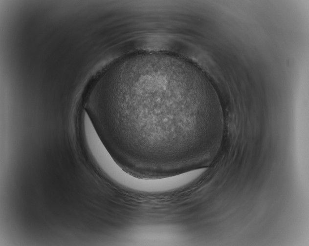 X0000088690727200706141412