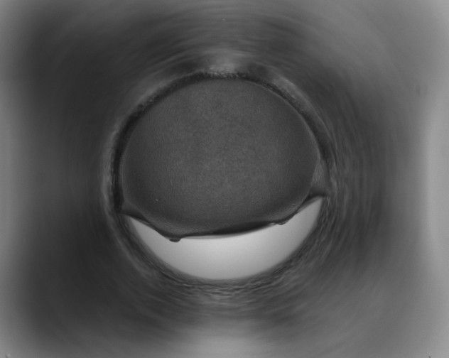 X0000088690728200706141412