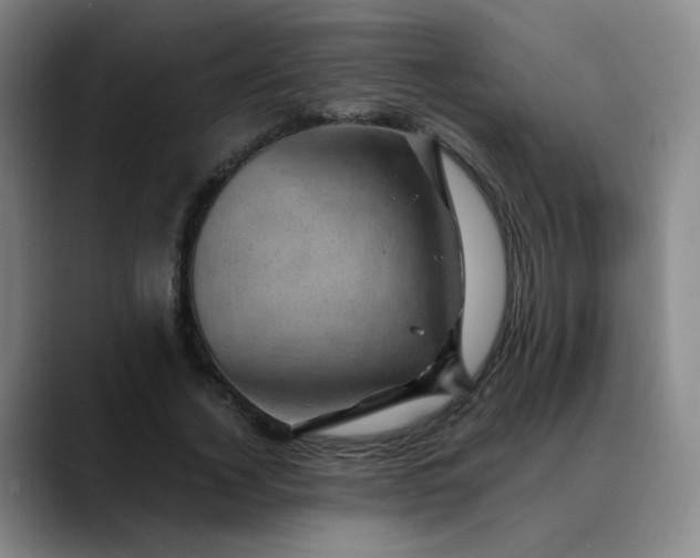 X0000088690732200706141412