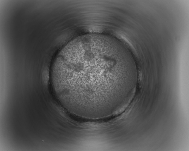 X0000088690733200706141412