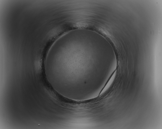 X0000088690735200706141412