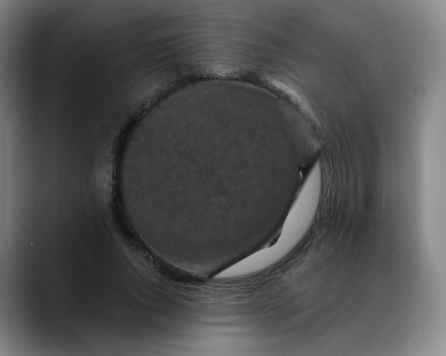 X0000088690736200706141412
