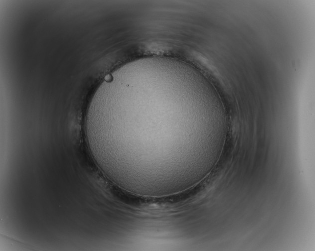 X0000088690737200706141412