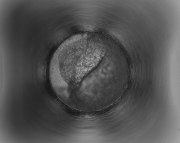 X0000088690739200706141412
