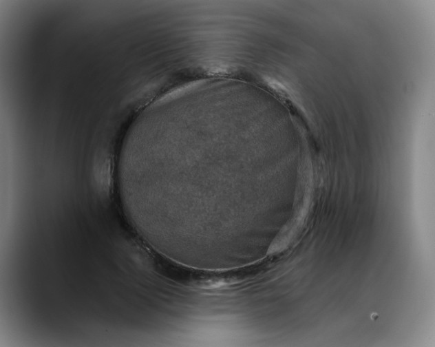 X0000088690740200706141412