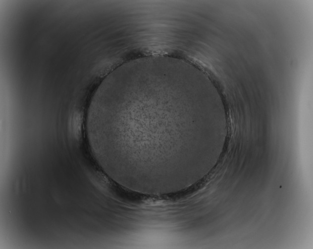 X0000088690742200706141412