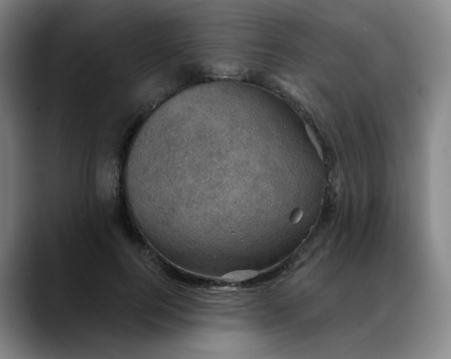 X0000088690744200706141412