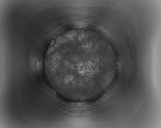 X0000088690745200706141412