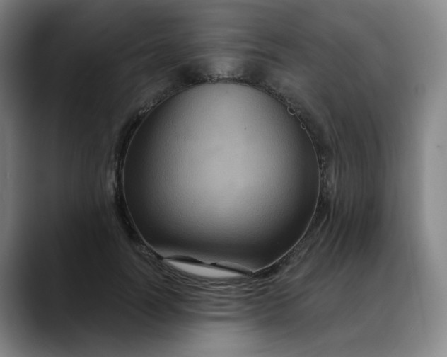 X0000088690746200706141412