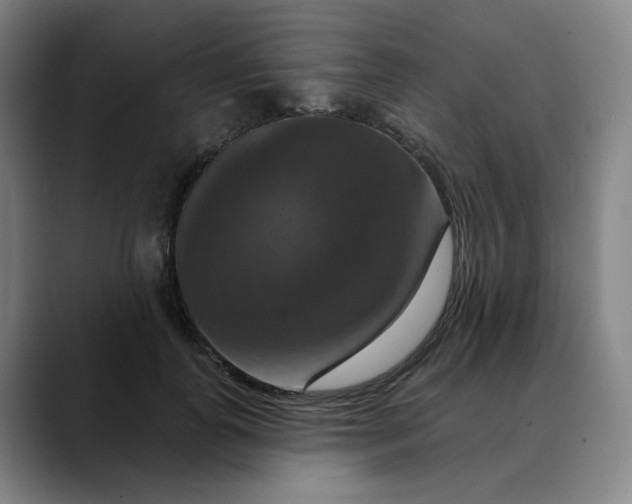 X0000088690747200706141412