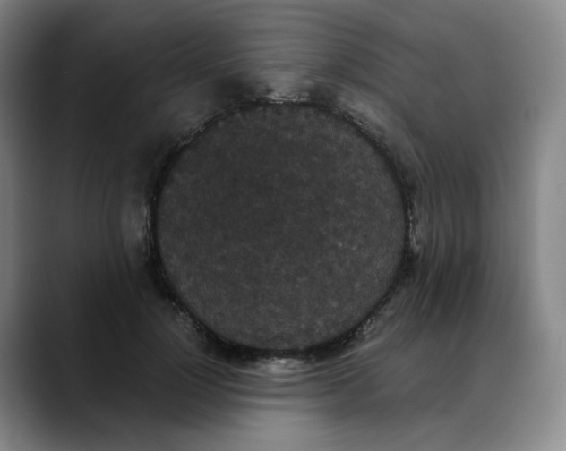 X0000088690748200706141412