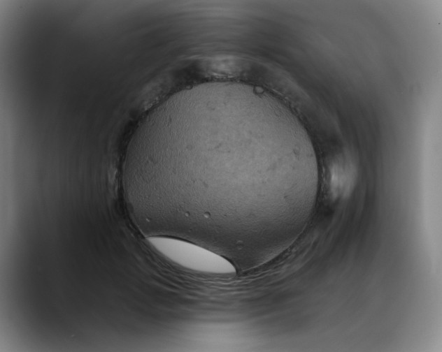 X0000088690749200706141412