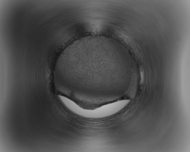 X0000088690750200706141412