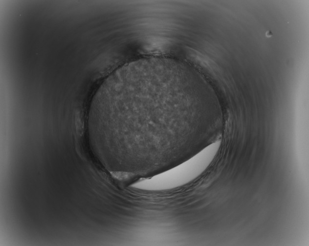X0000088690751200706141412