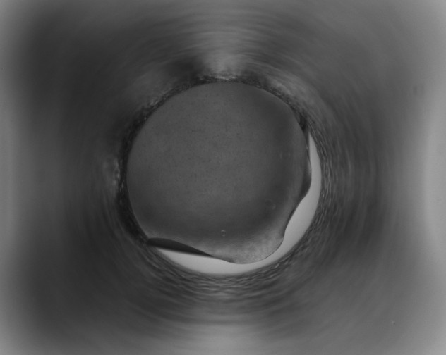 X0000088690752200706141412