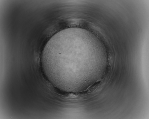 X0000088690753200706141412