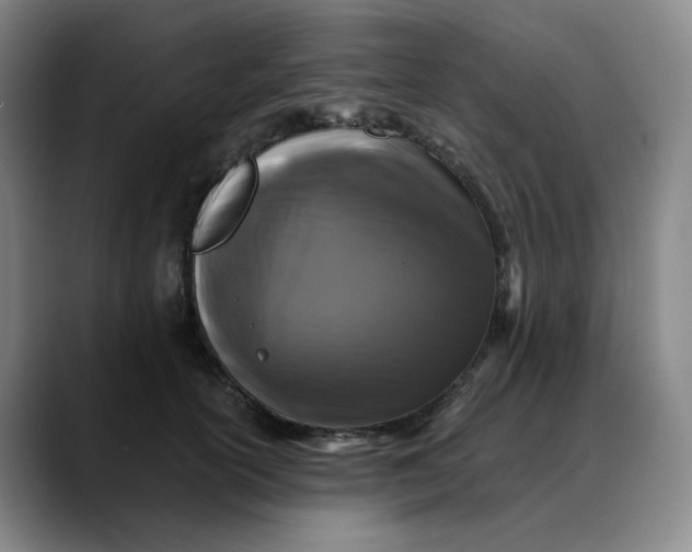 X0000088690754200706141412