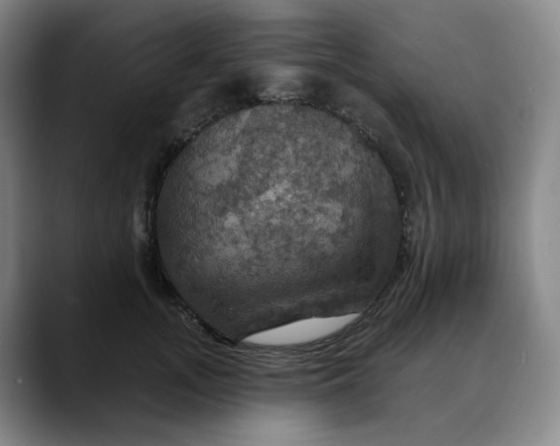 X0000088690755200706141412