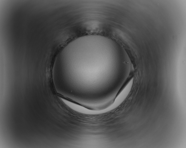 X0000088690756200706141412