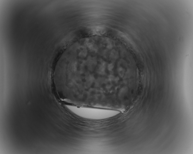 X0000088690757200706141412