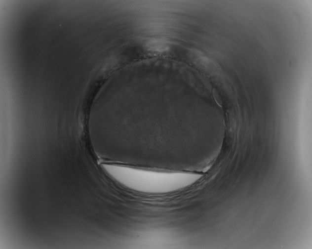 X0000088690758200706141412