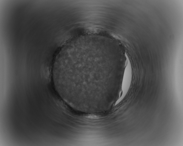 X0000088690759200706141412
