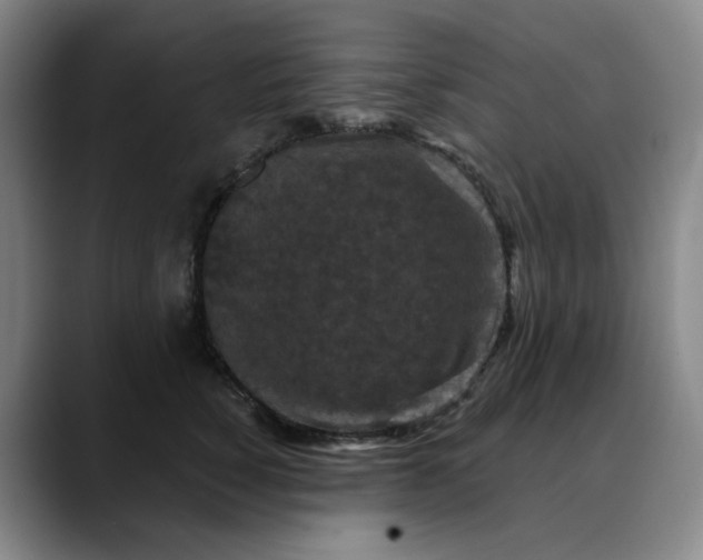 X0000088690760200706141412